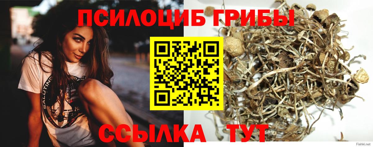 Галлюциногенные грибы ЛСД Полевской