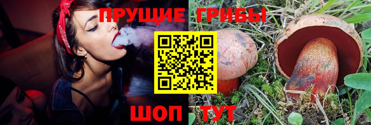 Полевской  Псилоцибиновые грибы мицелий  Вход с VPN 